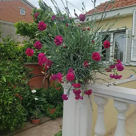 Pensionat Branko Zadar