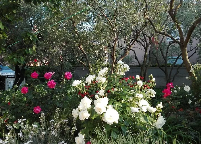 Branko Pensionat Zadar