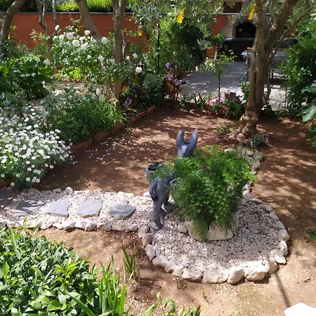 Guest house Branko Zadar