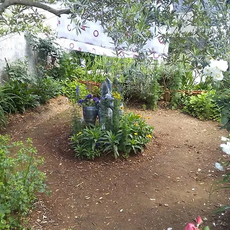 Guest house Branko