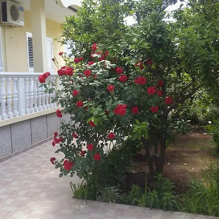 Branko Guest house *