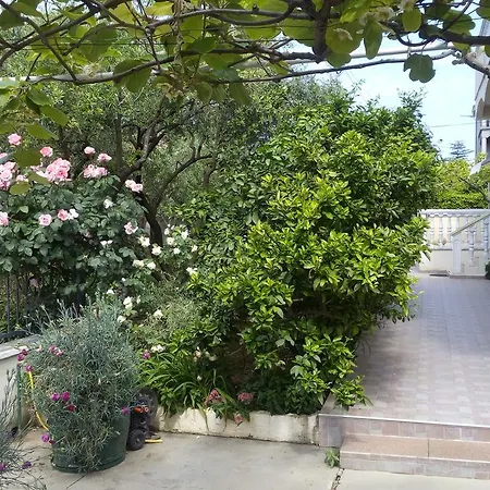 Guest house Branko *
