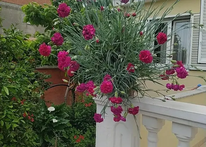بيت ضيافة Branko زادار